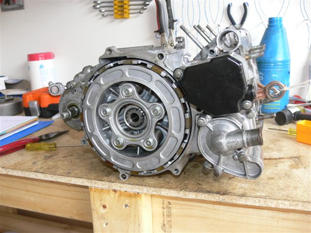 P1060767.JPG