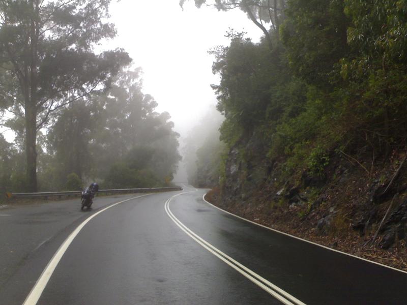 fog.jpg