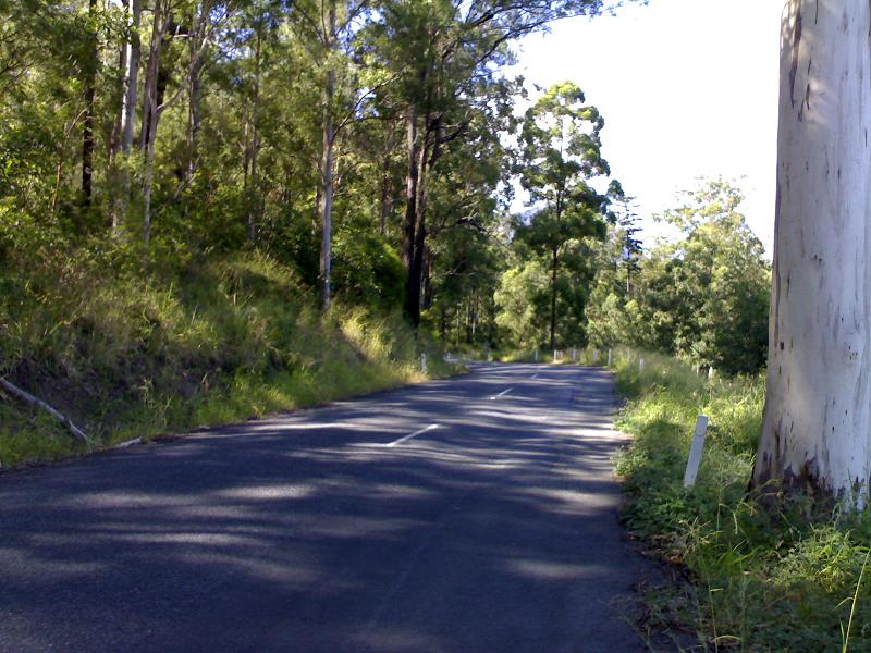 roadway.jpg