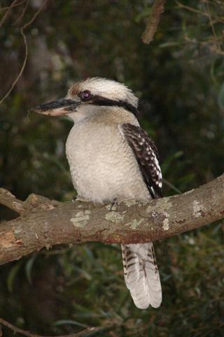 DSC01189 (Small).JPG