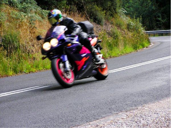 Tassie 2005