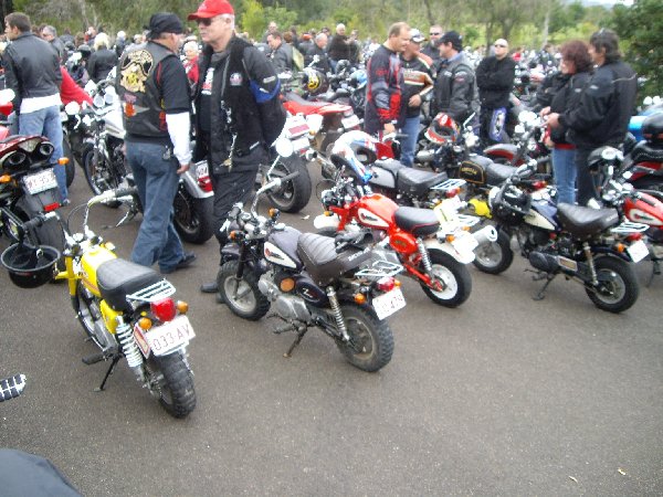 Pocket bikes.jpg (540.76 KiB) Viewed 1348 times Pocket bikes
