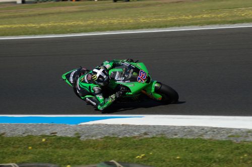 DSC_6333.jpg