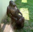 monkey.jpg