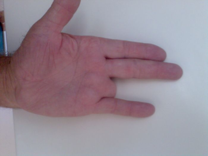 kuda1.jpg