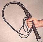 whip8[1].jpg