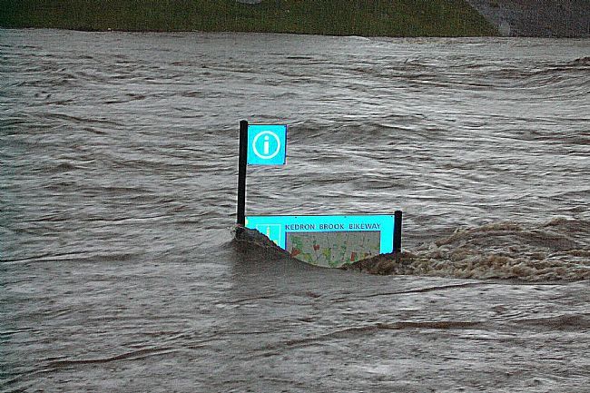 Kedron_Brook_Bikeway_at_theGrange.jpg