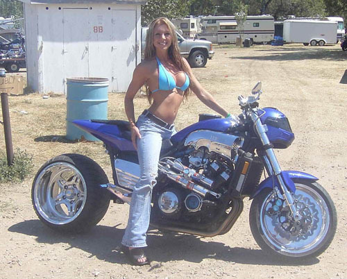 Blonde_520.jpg