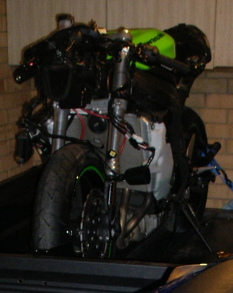 NewToy1.jpg