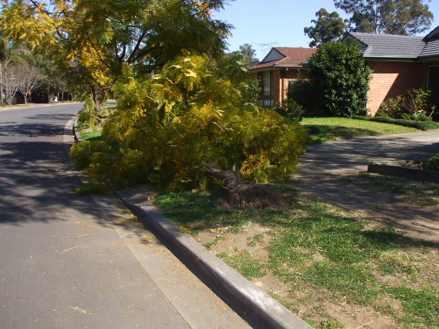 DSCF0617.jpg