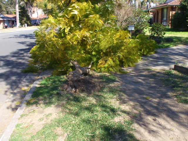 DSCF0622.jpg