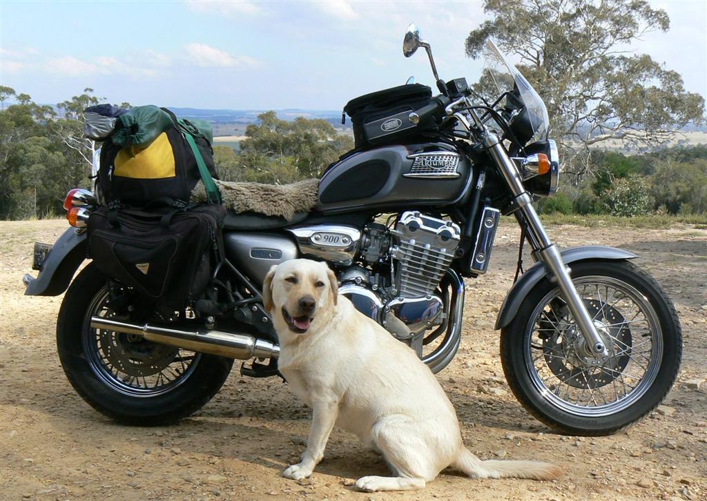 Copy of P1030833 (Large).JPG