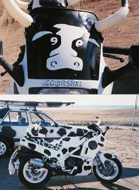 cowmoto1.jpg