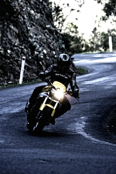 yellowkwaka%20edit%201%20small.jpg