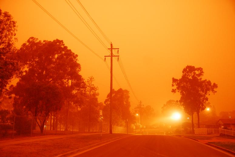 DUST1_530am.JPG