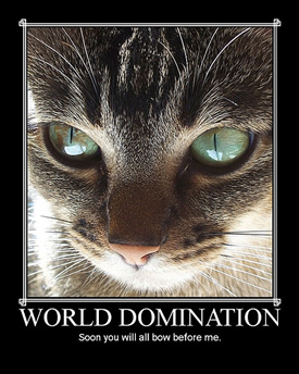 world-domination.jpg