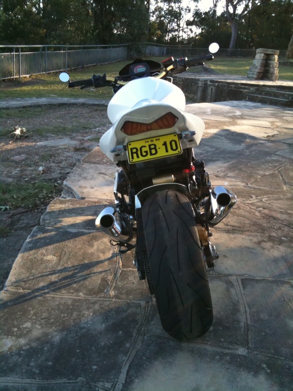 Zed Rear.jpg