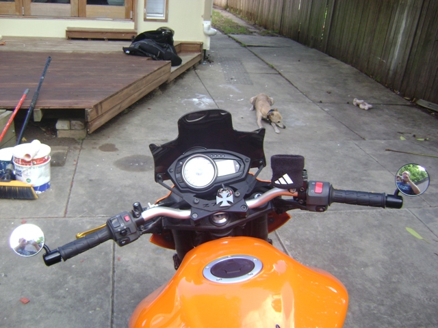 DSC00023.JPG
