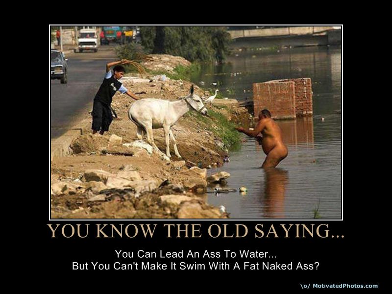 633962306112992160-YouKnowTheOldSaying.jpg