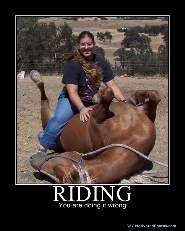 633997261956352700-Riding.jpg