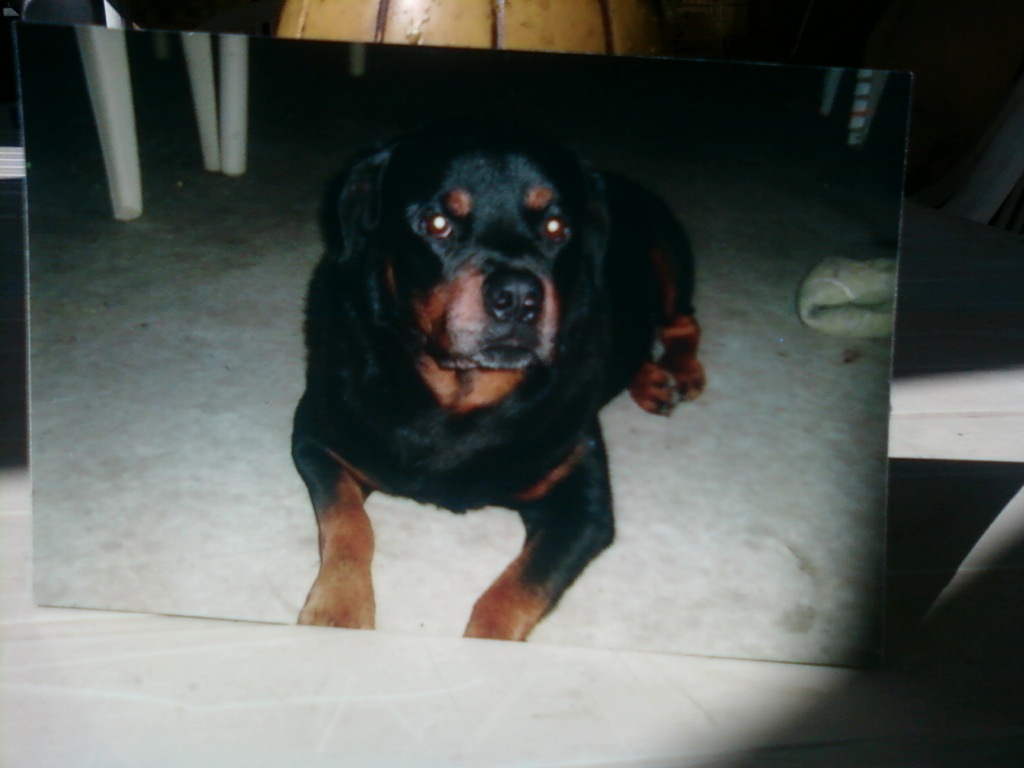 tyson