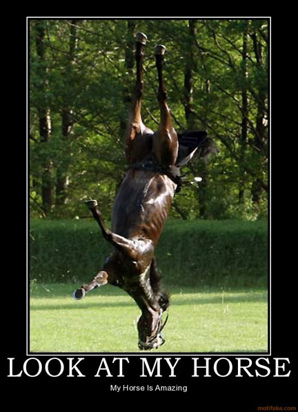 lookatmyhorse.jpg
