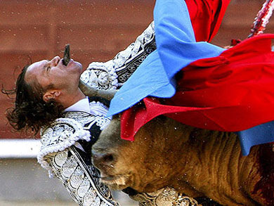 matador_03-15vjn6d.jpg