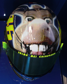 donkey.jpg