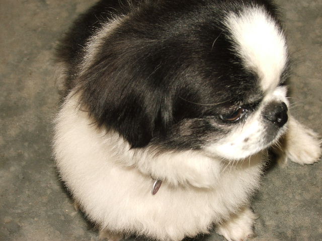 Percy 2
