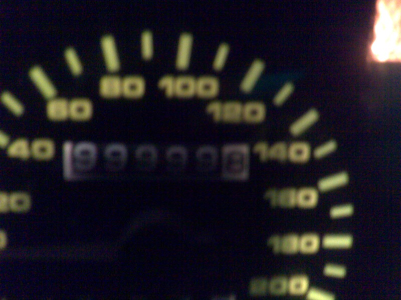 Speedo-99999-8.jpg