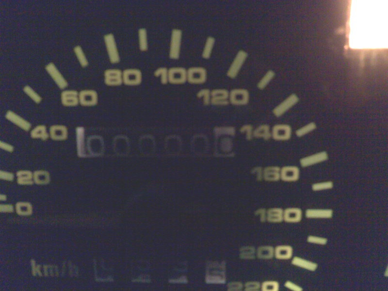 Speedo-000000.jpg