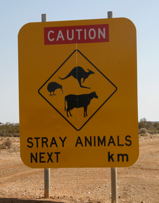 outback.gif