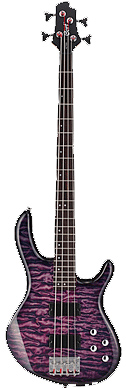 cort bass.jpg