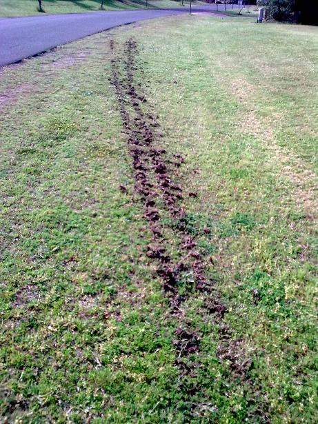 20092010_001.jpg
