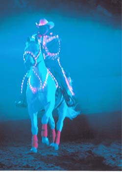 ELECTRIC_COWBOY_1.jpg