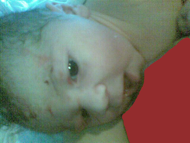 Baby Ivory.jpg