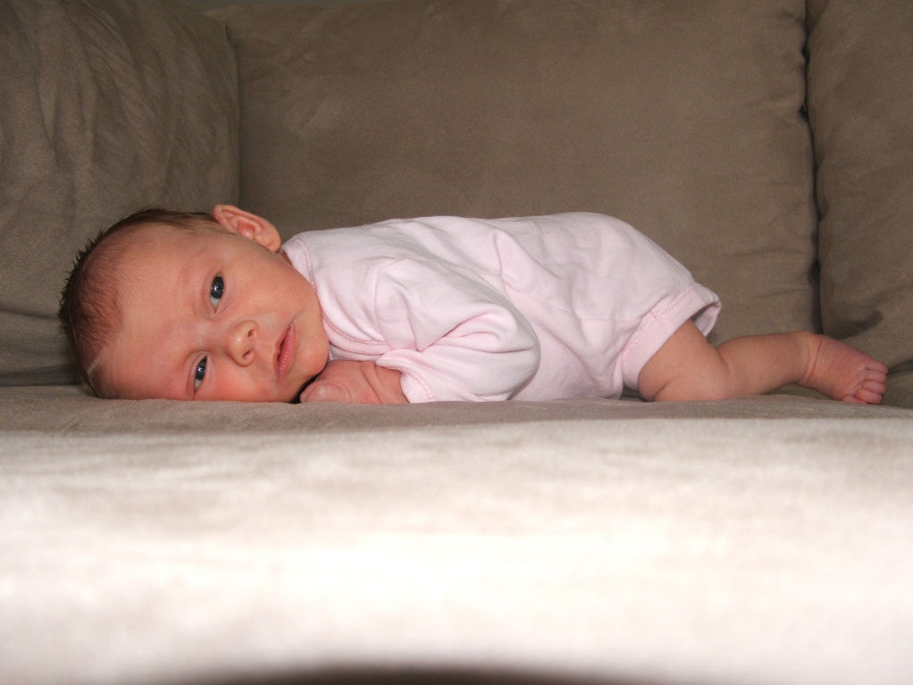 DSCF0582.JPG