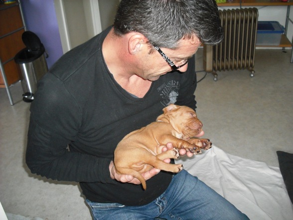 Oskar 4 weeks 1.jpg