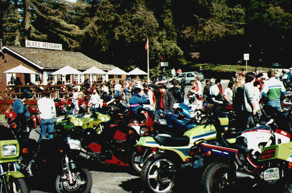 Kwaka day at Alice's