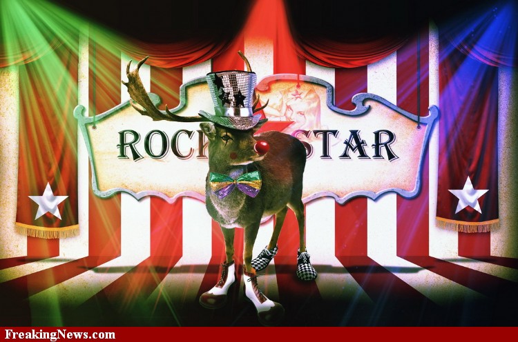 Clown-DEER--80308.jpg