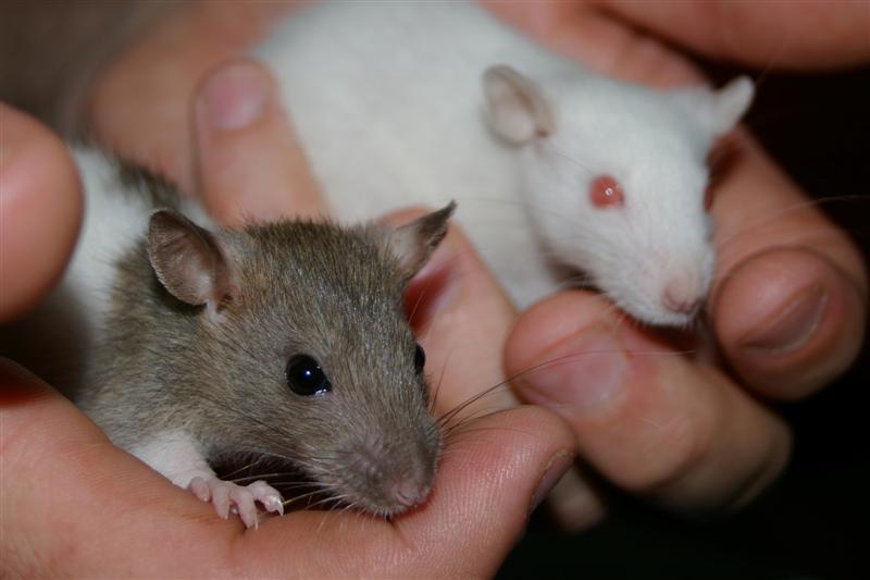 IMGP0194 (Medium).jpg