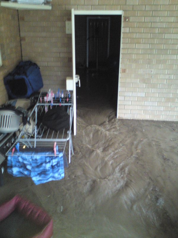 After the rear door of the garage was opened