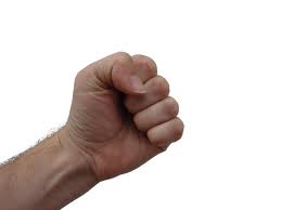 fist.jpeg