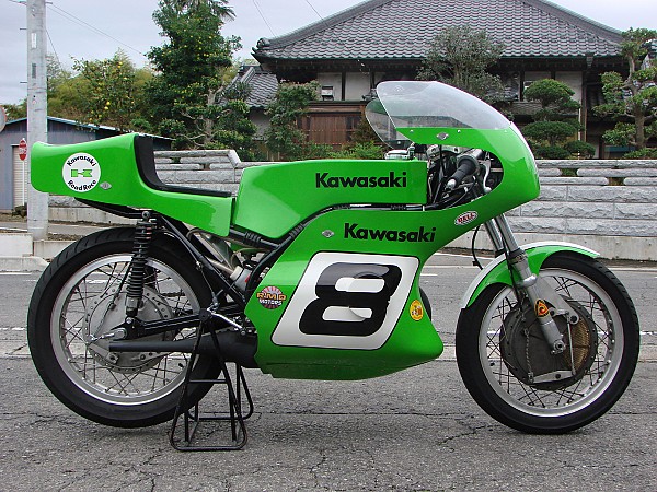 73kawasakiF9R.jpg