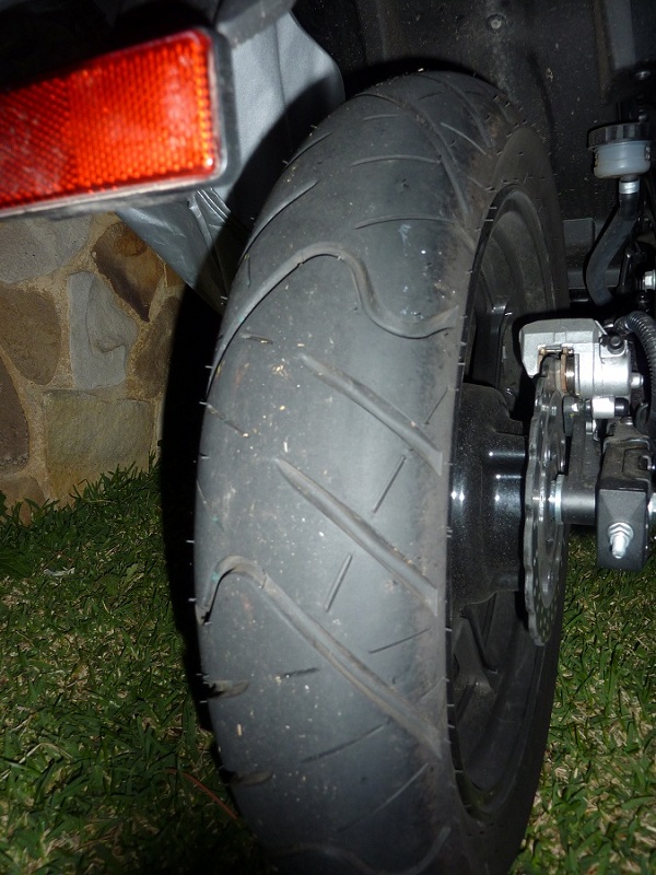 P1000794.JPG