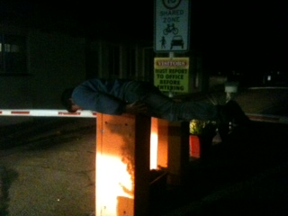 Plank 3.jpg