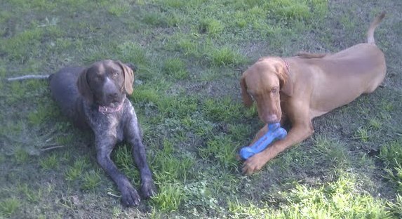 Greta and Ozkar 1.jpg