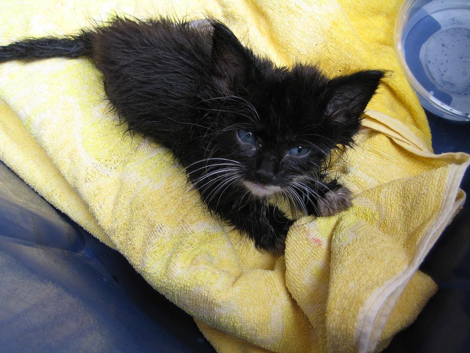 Get any closer and I'll chew your throat out.......