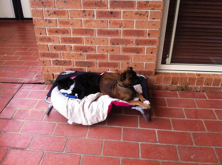 Right that's it the throat chewing is about to start....