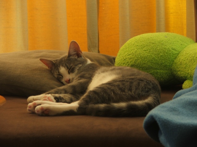 She's now a year and a half old.